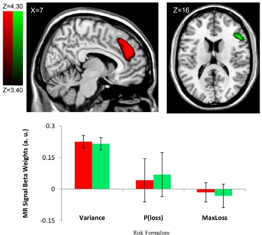 Risk types diagram used in functional MRI research